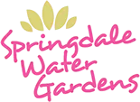 springdalewatergardens.com