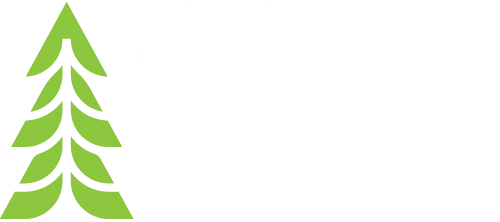 spiritof1876.com