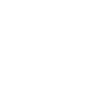 mslaurynhill.com