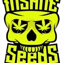 insaneseeds.com