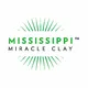 mississippimiracleclay.com