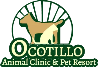 ocotilloanimalclinic.com