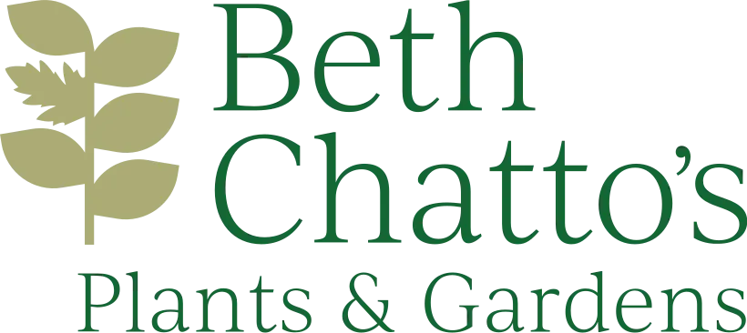 bethchatto.co.uk