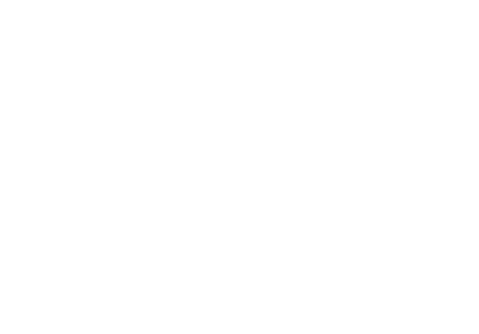 stoli.com