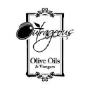 outrageousoliveoil.com