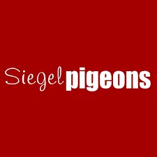 siegelpigeons.com