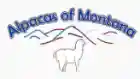 alpacasofmontana.com