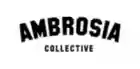 ambrosiacollective.com