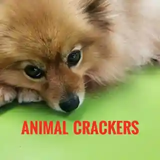 animalcrackersdelivers.com