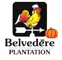 belvedereplantation.com