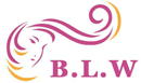 bestlacewigs.net