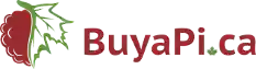 buyapi.ca