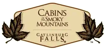 cabinsofthesmokymountains.com