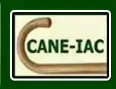 cane-iac.com