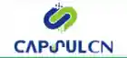 capsulcn.com