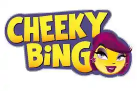 cheekybingo.com