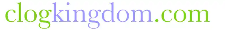 clogkingdom.com