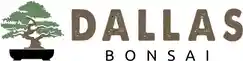 dallasbonsai.com