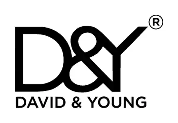 davidandyoung.com