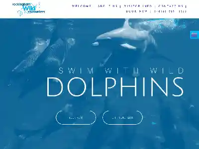 dolphins.com.au