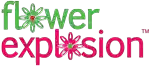 flowerexplosion.com