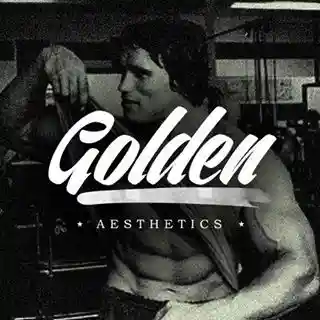 goldenaesthetics.com