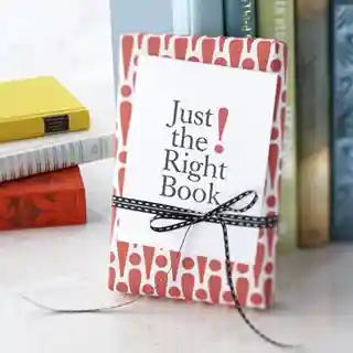 justtherightbook.com