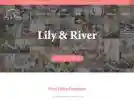 lilyandriver.com