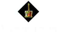 mercattours.com