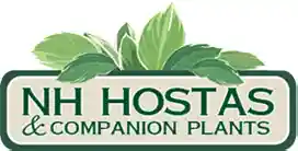 nhhostas.com