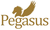 pegasuspublishers.com