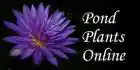 pondplantsonline.com