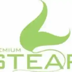 premiumsteap.com