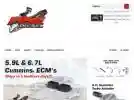 remanautoelectronics.com