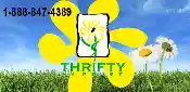 thriftyflorist.net