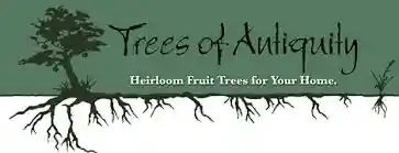 treesofantiquity.com