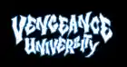 vengeanceuniversity.com