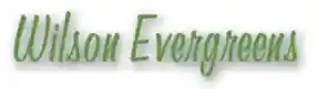 wilsonevergreens.com