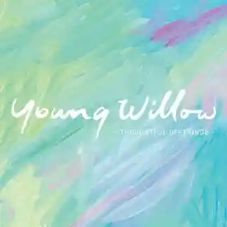 youngwillow.com.au