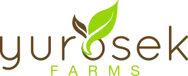 yurosekfarms.com