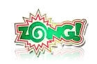 zongglass.com