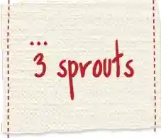 3sprouts.ca