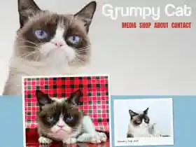 grumpycats.com