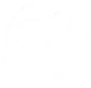 ketokookie.com