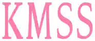 kissmysouthernsass.com