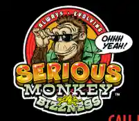 seriousmonkeybizzness.com