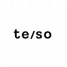 shopteso.com