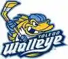 toledowalleye.com