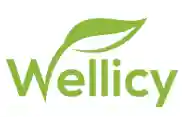 wellicy.com