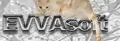 evvasoft.com